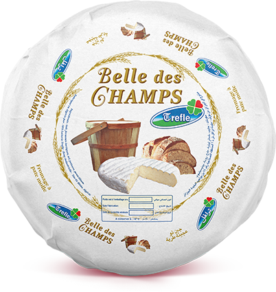 Tlemsani groupe, Fromages