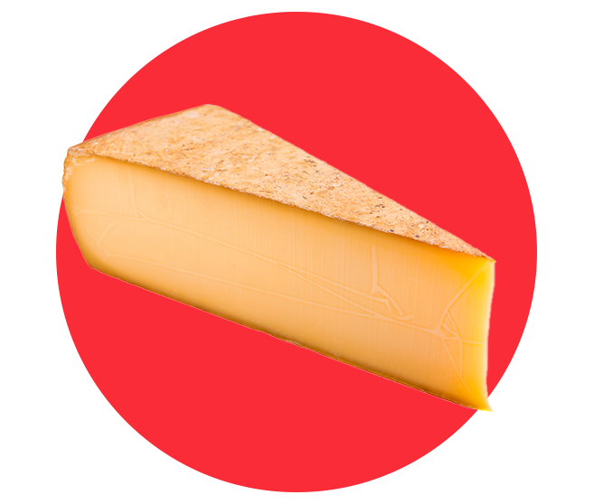 Fromage à Pâte Pressée : L'Authenticité et la Richesse des Saveurs